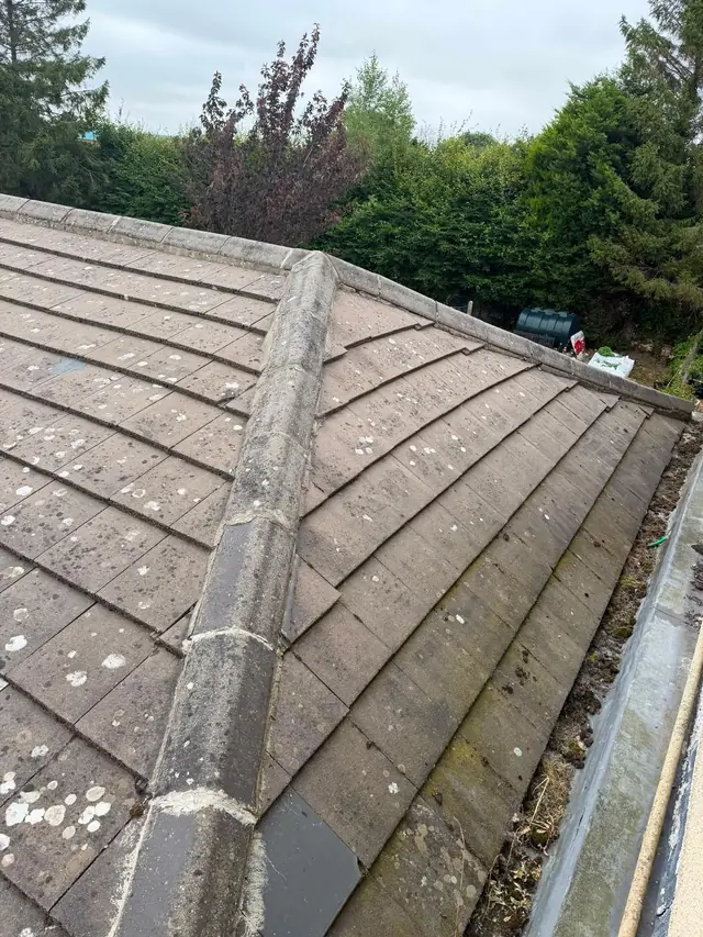 Tiled roof ridge line with mature trees behind